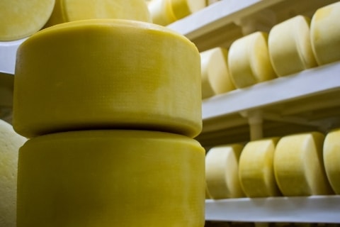 Nato Bom - Redesign de serviços e transformação digital em indústria de queijos